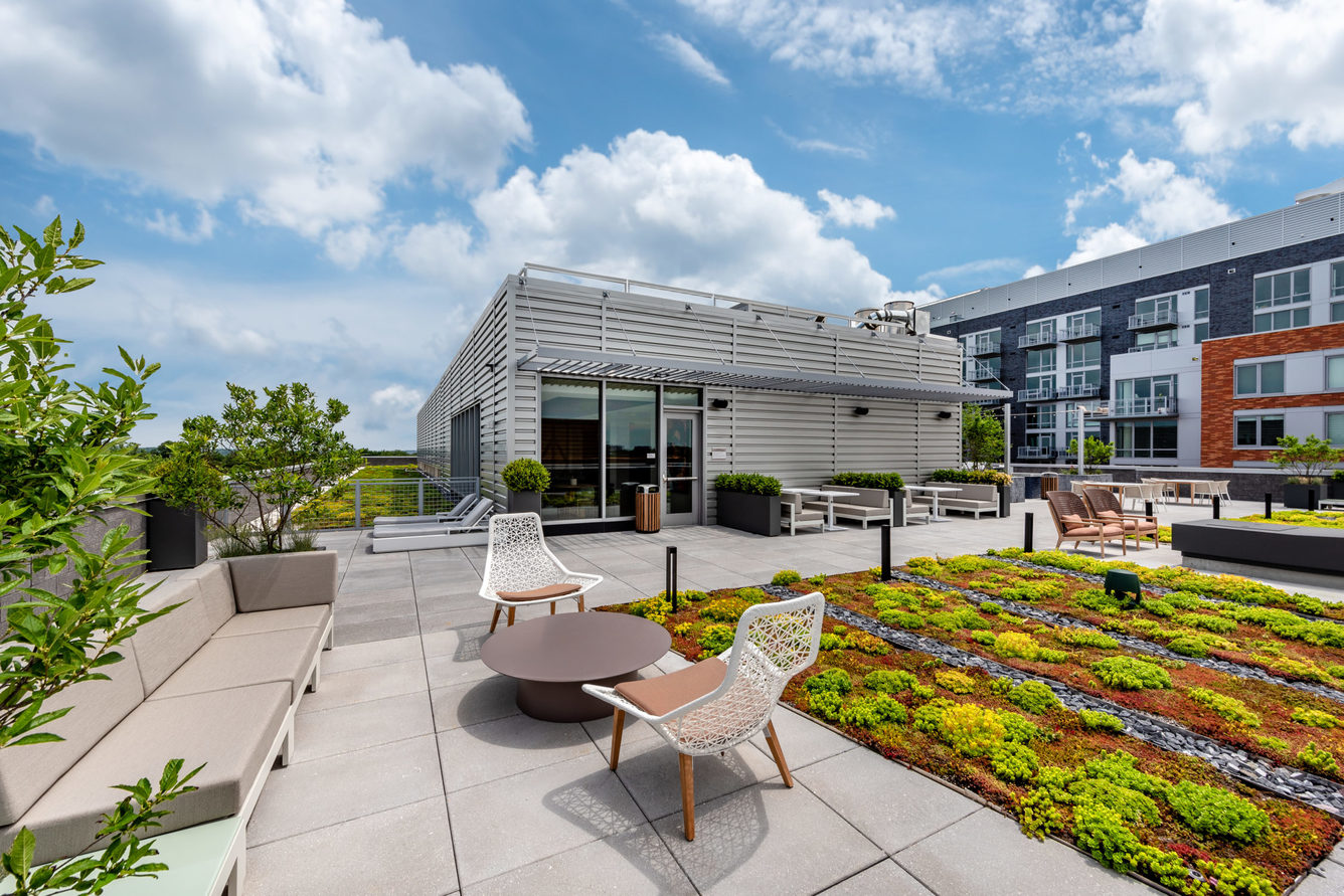 The Earl I Brand New Apartments in Clarendon, VA